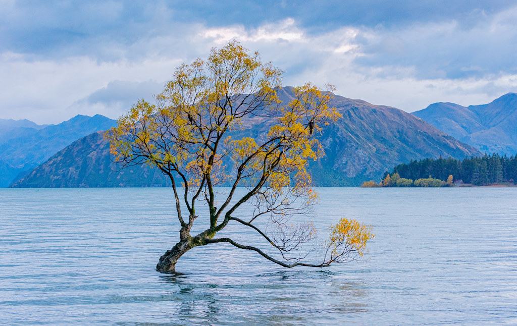 Wanaka New Zealand Randy Baumhover Flickr