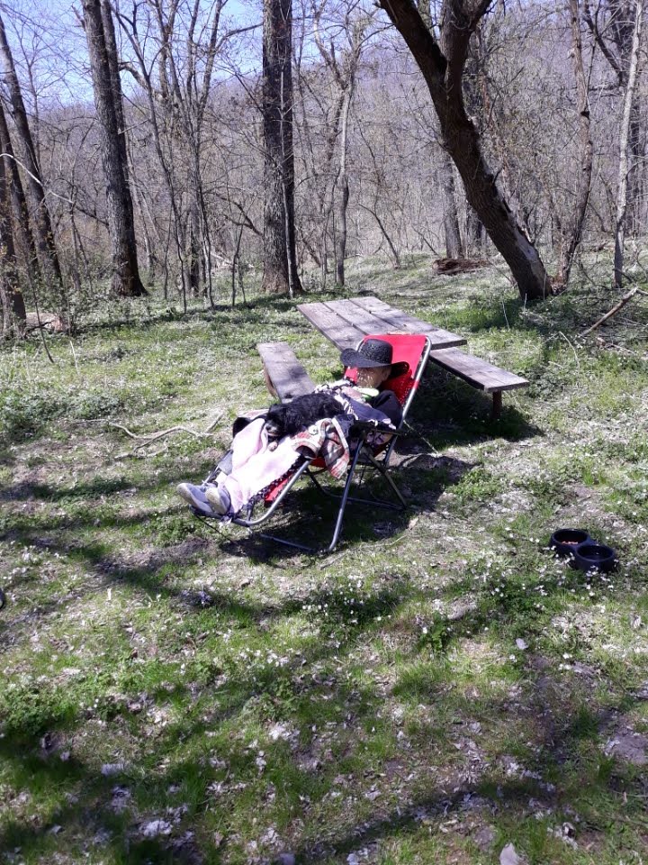 c2e375e311072d63a7c96f9ec6605aa8874e85f01 Don Peterson Flickr