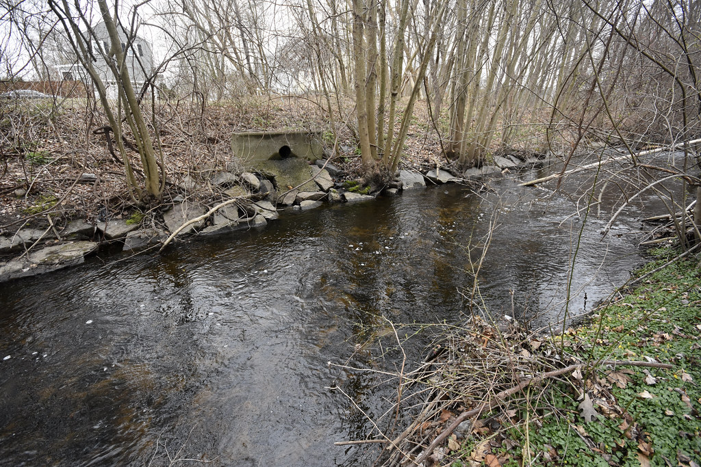 Pine Tree Brook at Gulliver St Milton, MA 4/6/23 ophis Flickr