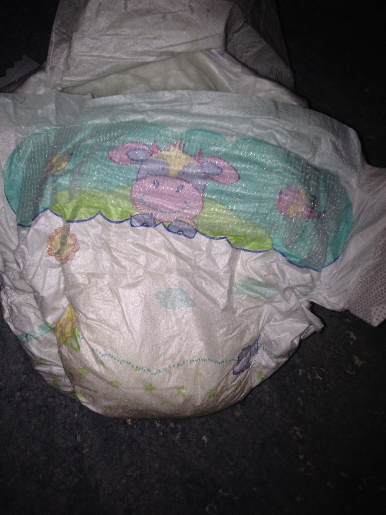 IMG_7733 Diaper Couche Flickr
