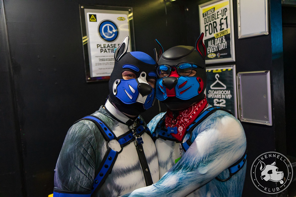550A2514 Kennel Klub Flickr
