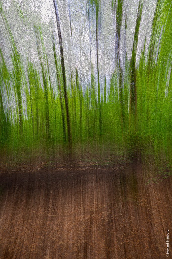 Stoke Wood A Woodland Trust wood, near Bicester, Oxon Inte… Flickr