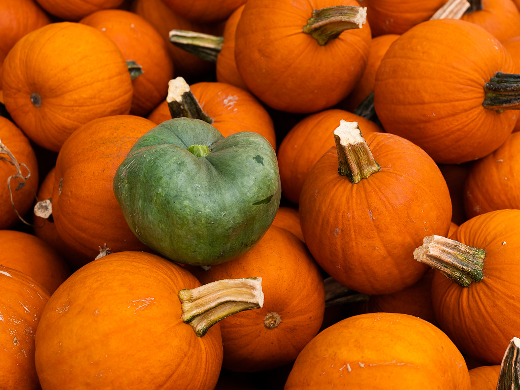 Whittle's Farm_200926_0936_002.jpg Pumpkins Whittle's Fa… Flickr
