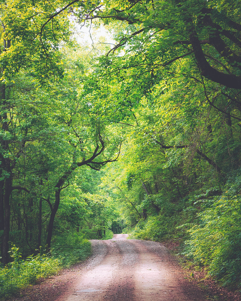 The Green Road. Hagarville, Arkansas. 2023. Brad Sims Flickr