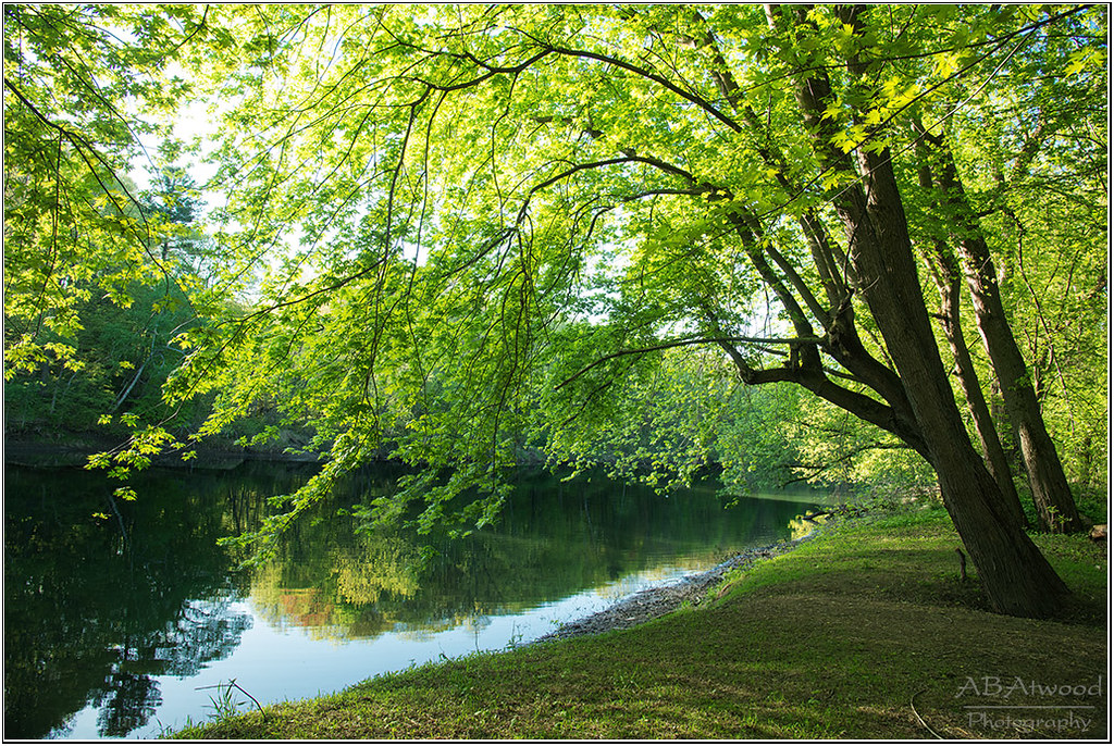 Burlington Vt Intervale Paths 20220514 075sm Alan Atwood Flickr