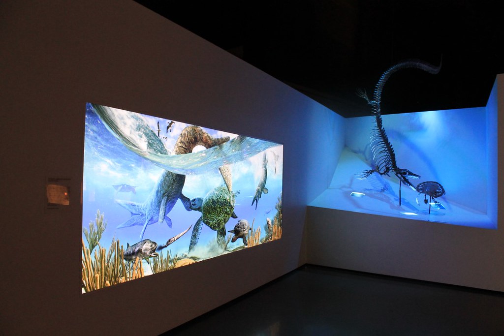 IMG_3925 Jack Lee Flickr