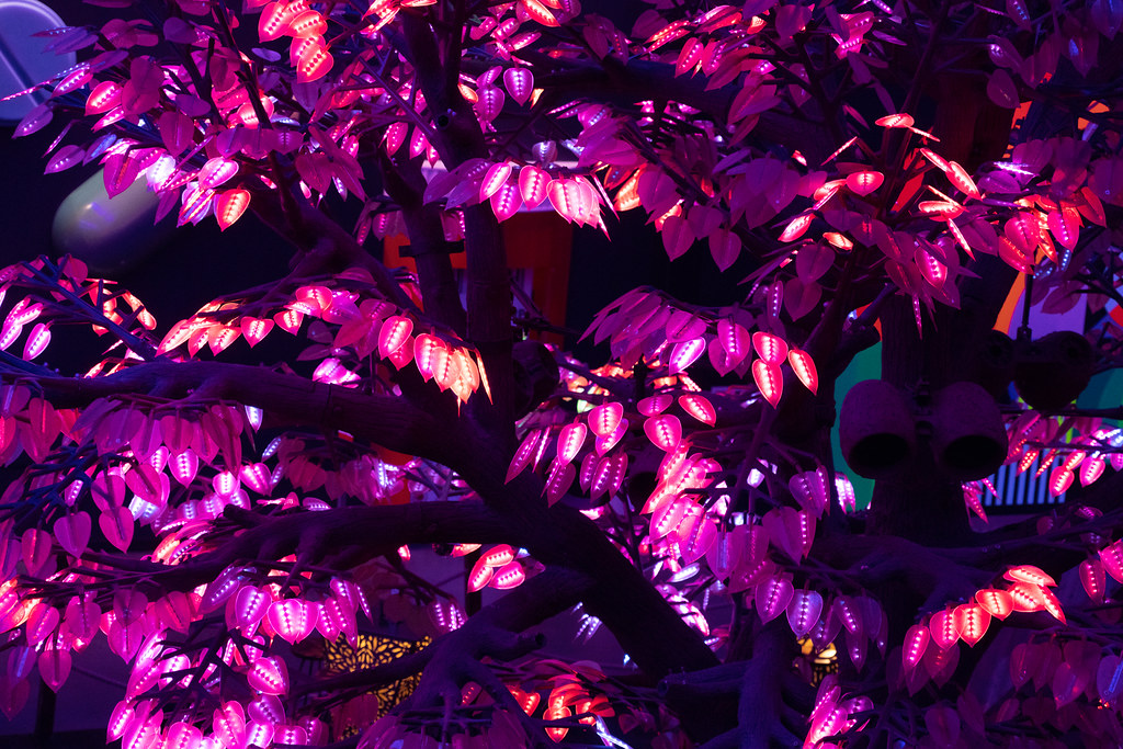 MEB09901.jpg Michael Brown Flickr