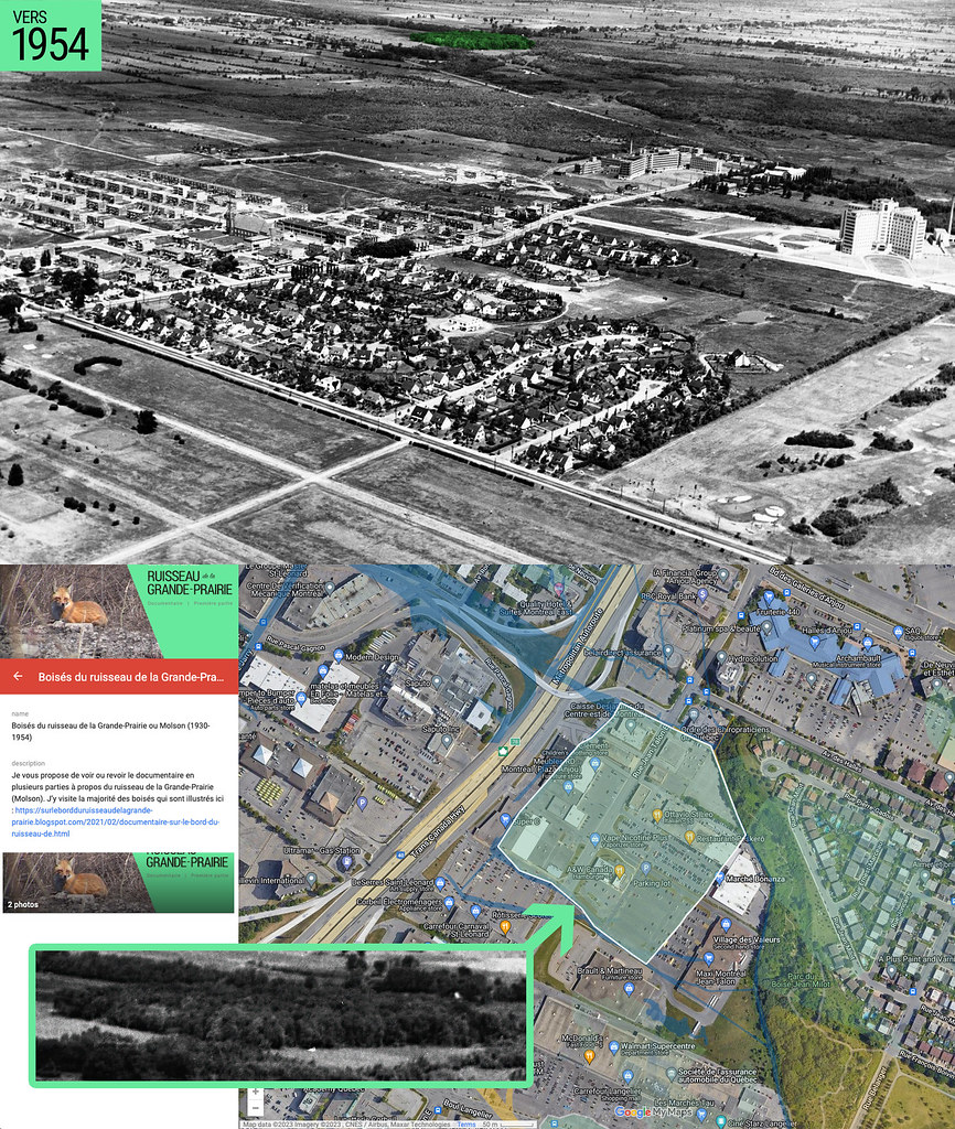 Grand boisé mature au nord du BoiséJeanMilot actuel, ver… Flickr