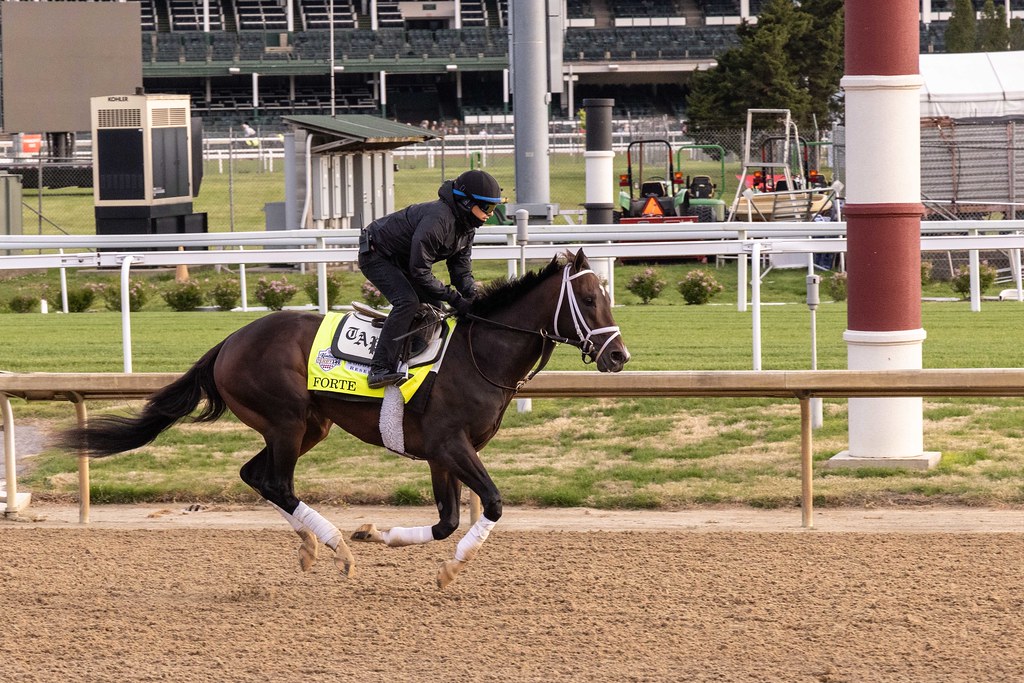 248A0175forte, a beautiful horse forte warming up....a fa… Flickr