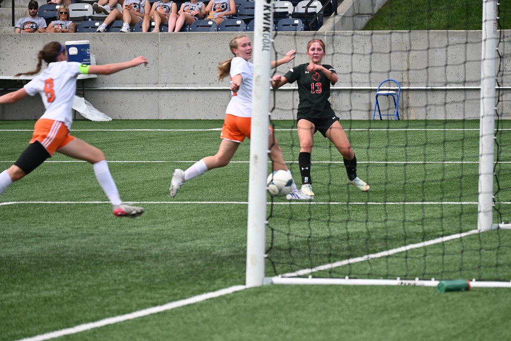 DSC_7608 Alan Kosse Flickr