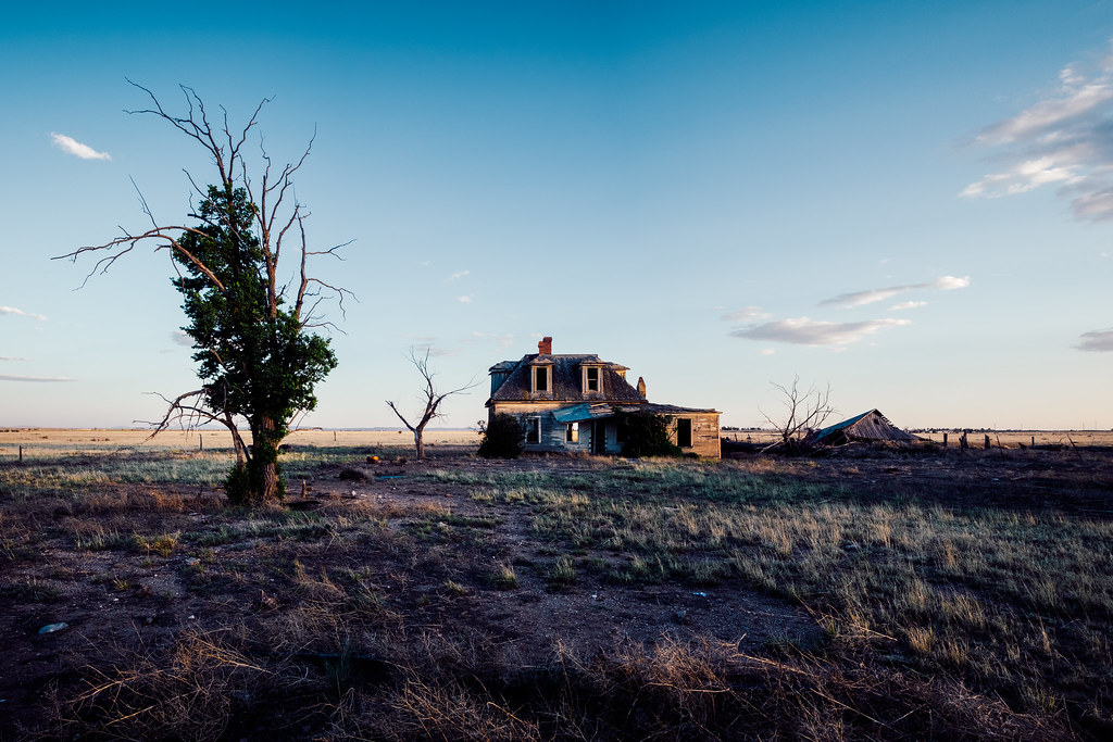 Standing Strong Estancia, NM Benjamin Norvell Flickr