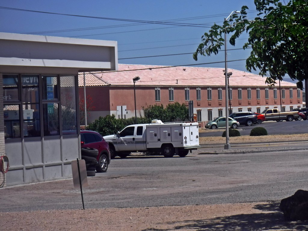 LCAC 5/11/2023 City of Las Cruces NM animal control Ford F… Flickr