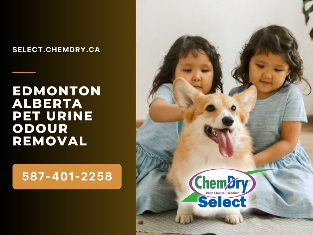 Edmonton Alberta Pet Urine Odour Removal 10 Benefits of Pr… Flickr