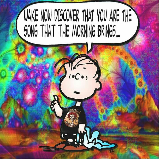 grateful dead happy birthday meme Pretty Images 467 best G… Flickr