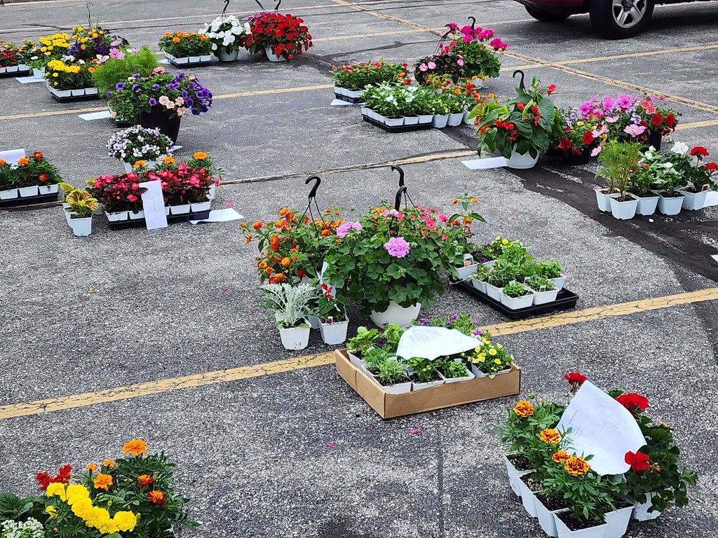 Plant Sale Fundraiser 2023 Flickr