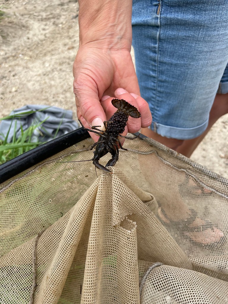 2023 Spring ASP Turkey Creek Zac Wedemeyer Flickr