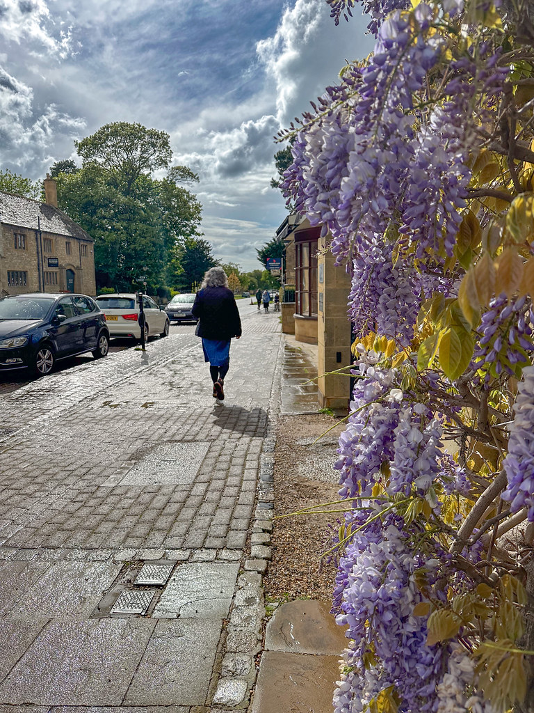 Wisteria Flowers Broadway Worcestershire Wisteria Flowers … Flickr