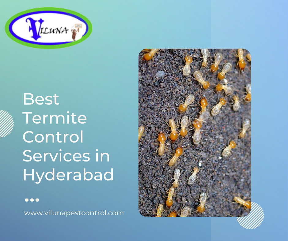 Best Termite Control Services in Hyderabad Viluna Pest C… Flickr