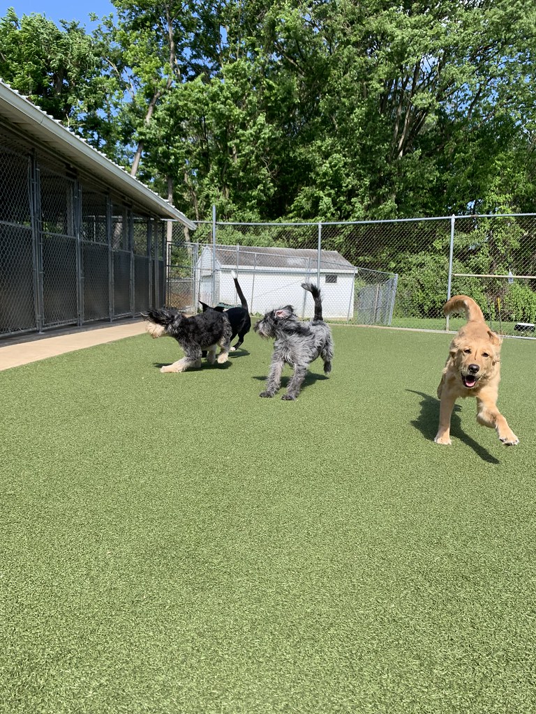 Greenlin west 5/17/2023 Greenlin West Flickr