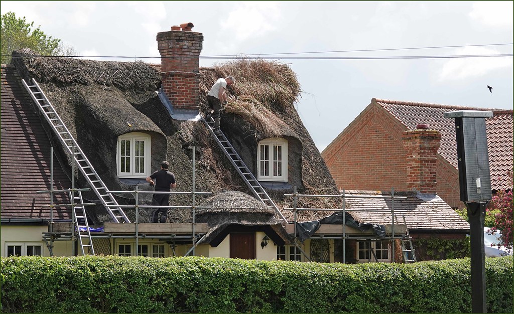 Thatchers Yelverton, Norfolk 10th May 2023. Nick Elsey Flickr