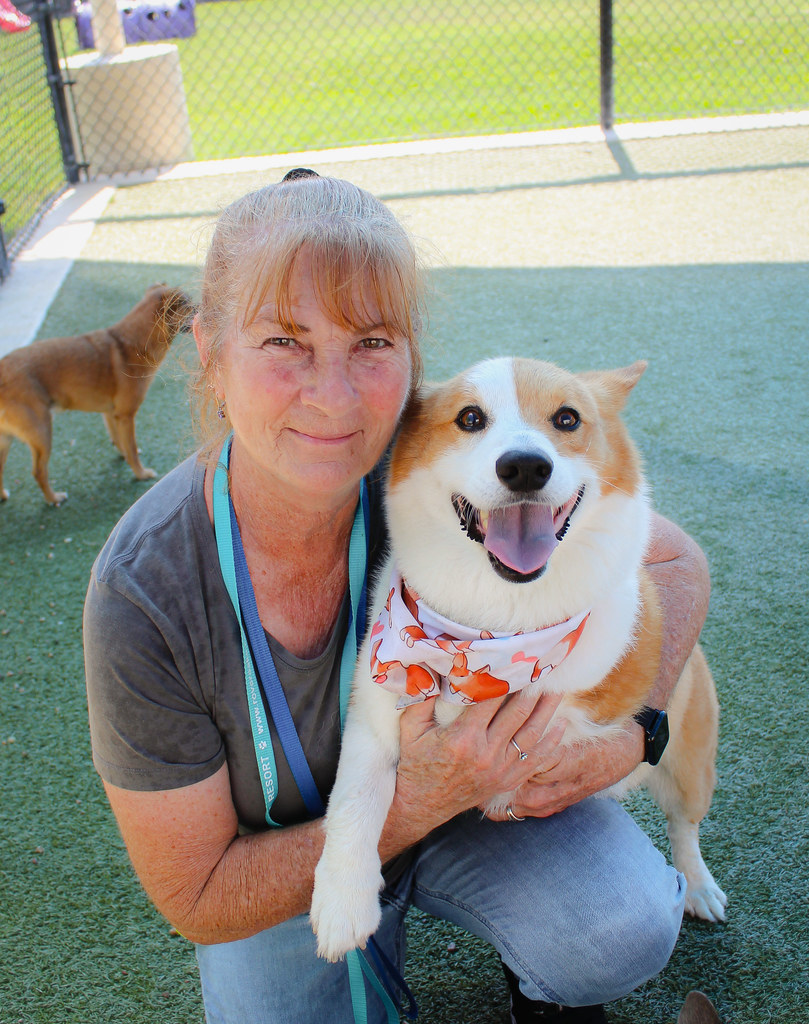 Benji 4 Rover Oaks Pet Resort Katy Flickr