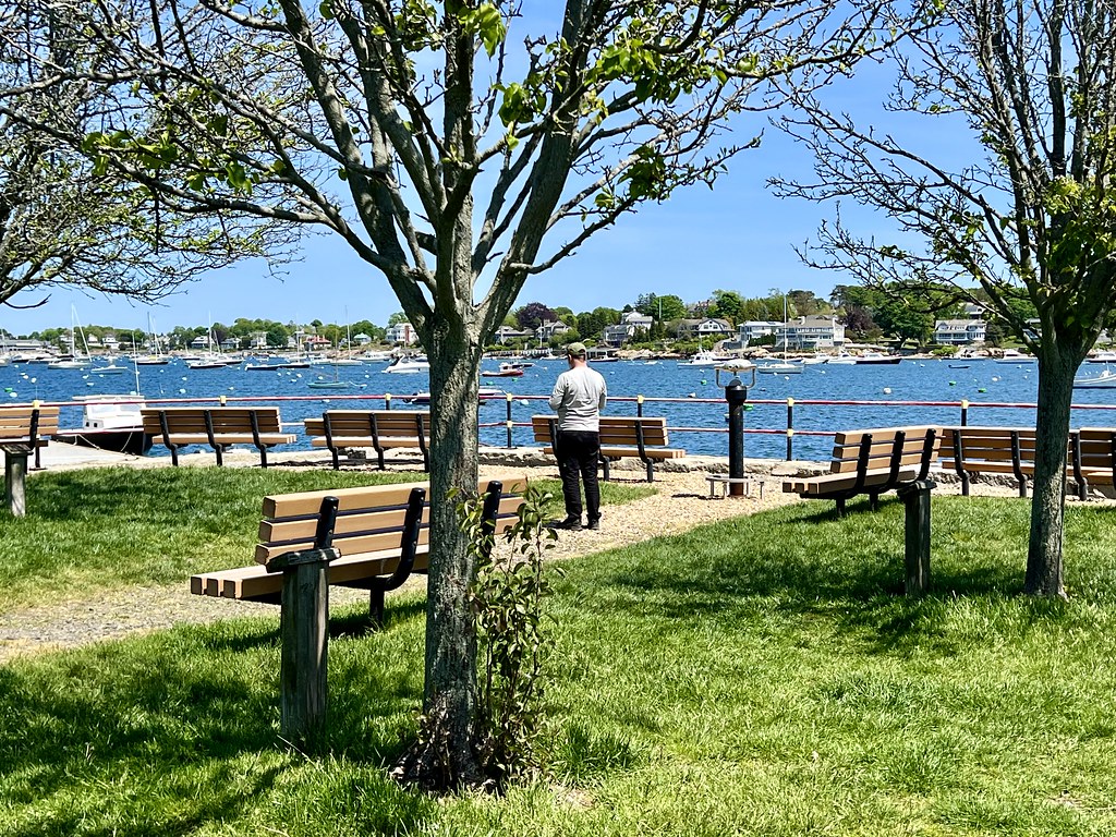 My Son Ben Engrossed In The Harbor Scene Hammond Park, Mar… Flickr