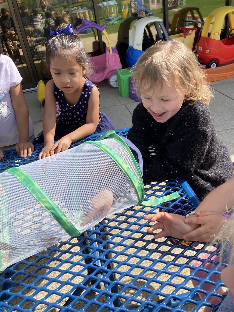 Untitled Mundelein Park & Recreation District Flickr