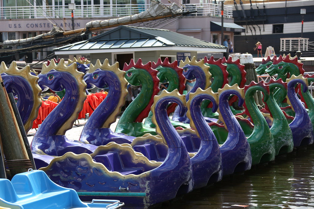 Pedal boats In the Port of Baltimore nutzk Flickr