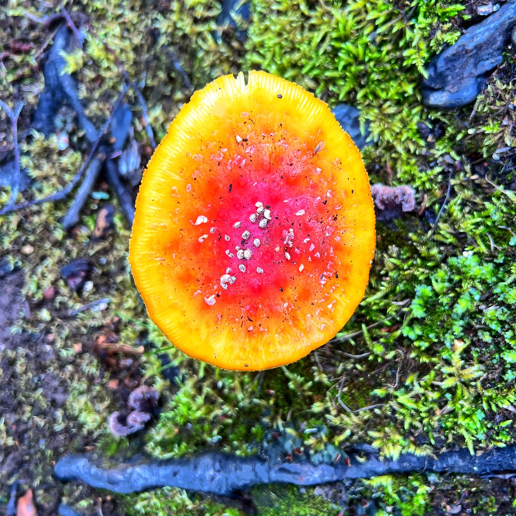 Talkeetna, Alaska Talkeetna, Alaska Lily Beth Flickr