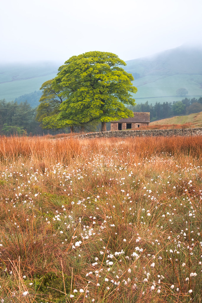 Wildboarclough Barn Sunrise A shot that I've not shared be… Flickr
