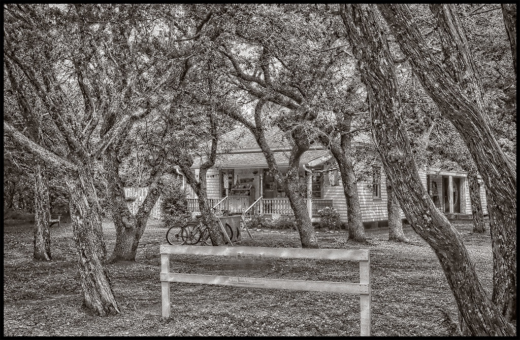 52123 Shopping 1 Greg Hartman Flickr