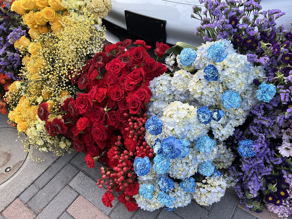 Yorkville Flower Show 2023 (22) eva b Flickr