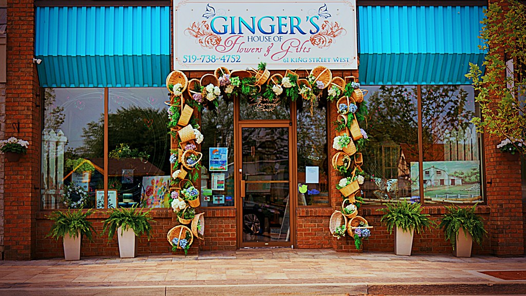 Ginger's Flowers j. silveira Flickr