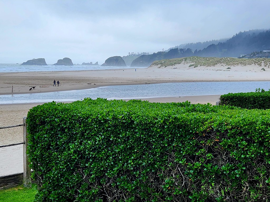 Oregon Coast Flickr