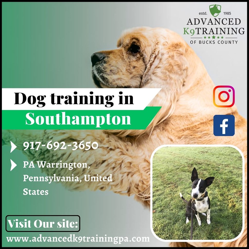 Dog Training in Southampton Choose the Perfect training p… Flickr