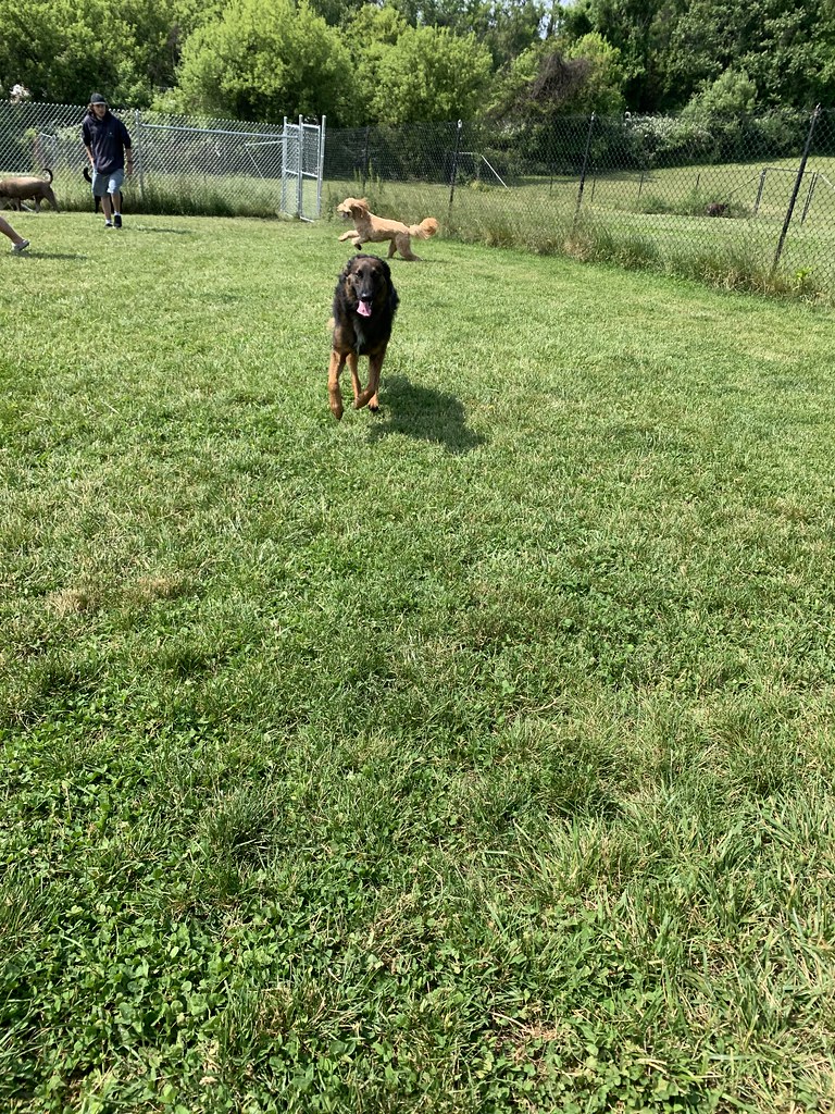 IMG_0203 Greenlin East Flickr