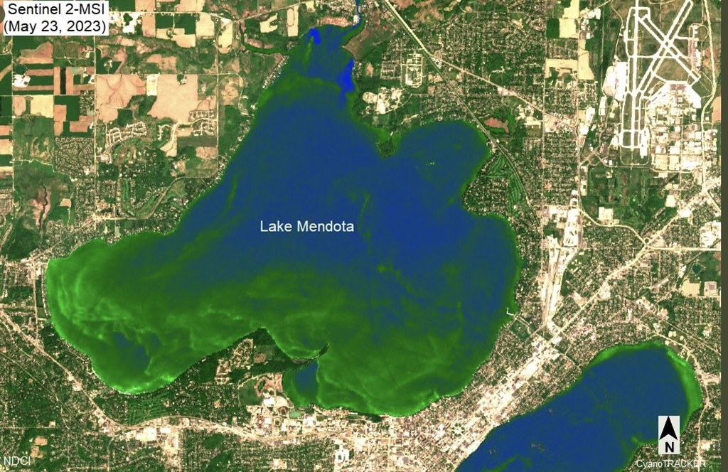 Spring Harbor, Lake Mendota, Near Shore Algae Bloom Flickr