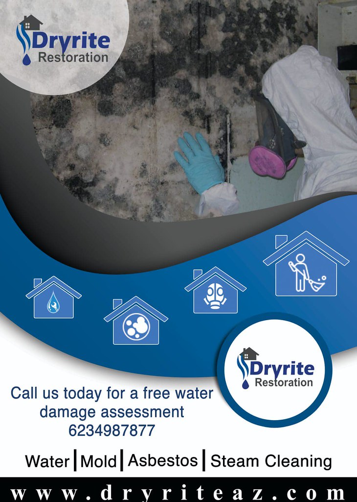 Mold Remediation San Tan Valley If your home or business i… Flickr