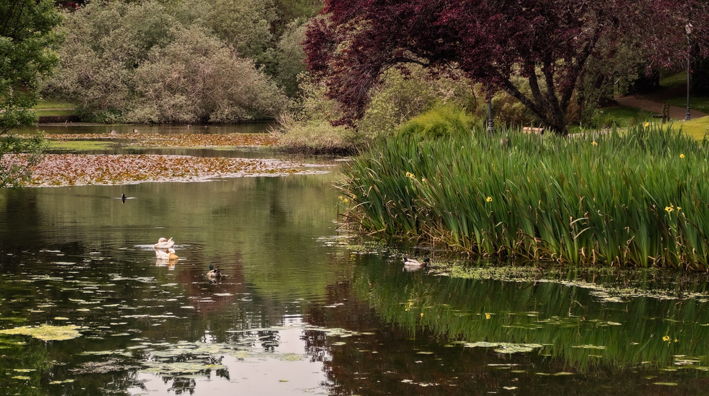 Mingus Park Coos Bay, Oregon Claude Aron Flickr