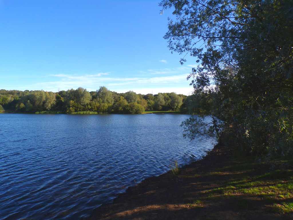 The Lake, Auckland is a village on t… Flickr