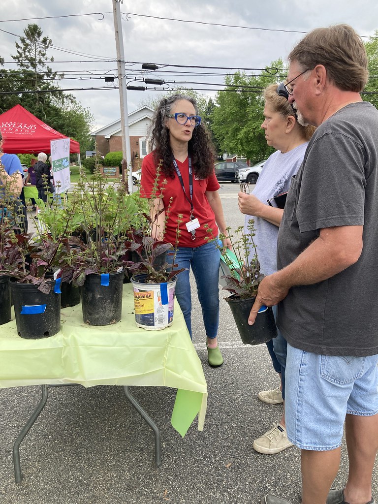 Master Gardener Plant Sale 8th Annual Plant Sale Flickr