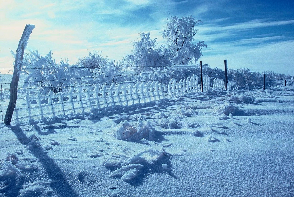 Hoarfrost and Fence Kidder County, ND Cary Flickr
