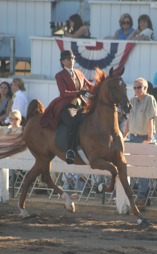 American Saddlebred Shelbyville KY horse show Jean Ogden Just Chaos