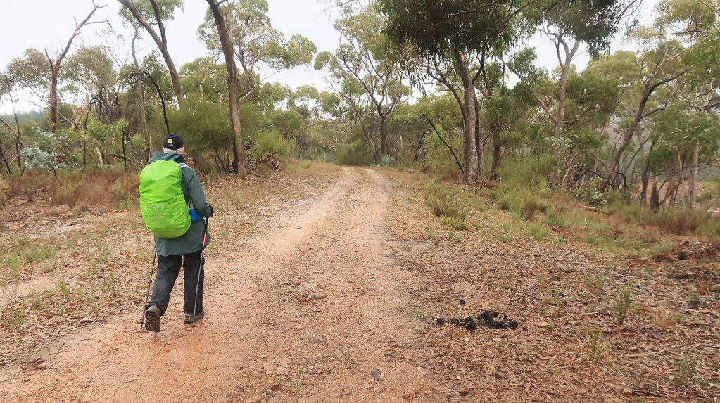 Kersbrook Forest 20 WEA Ramblers Flickr