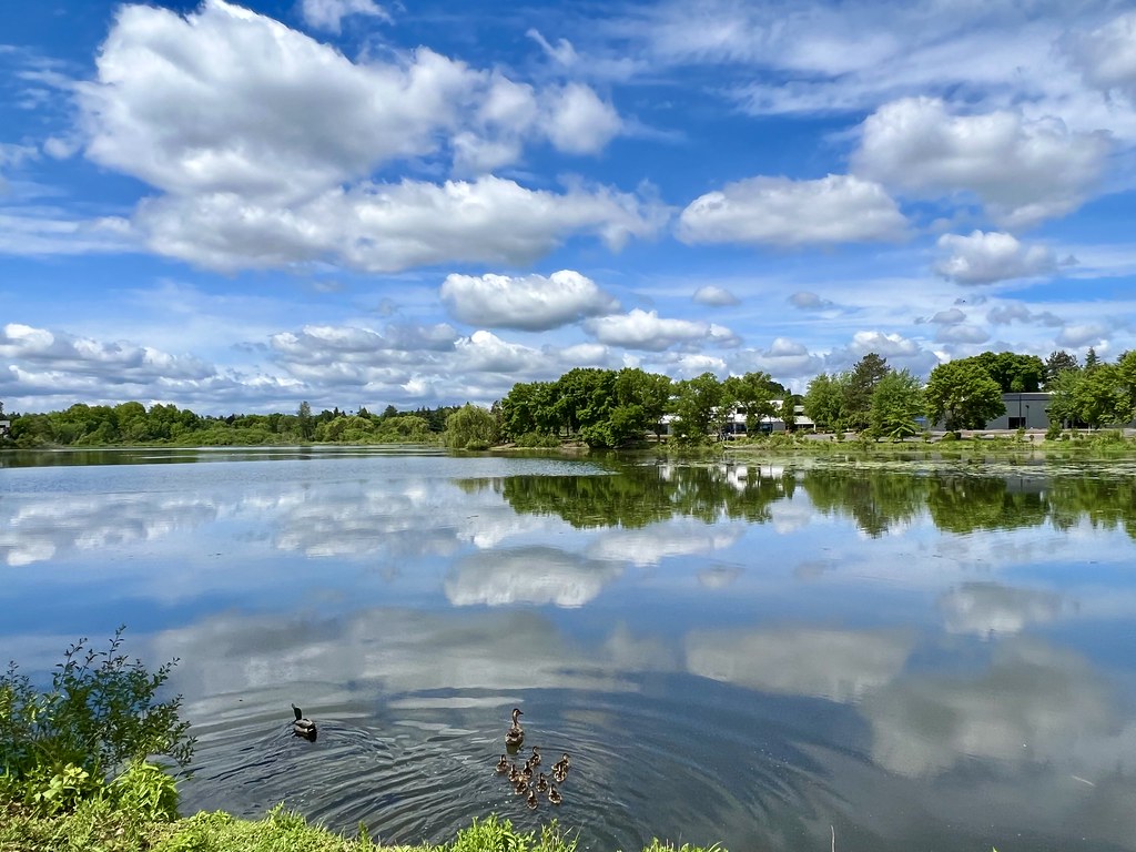 Great Scott Lake, Beaverton, OR KLB2305 Flickr