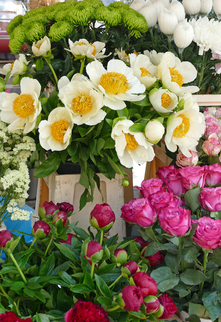 Mainz, Wochenmarkt, Blumenstand Weekly Market, flower st… Flickr