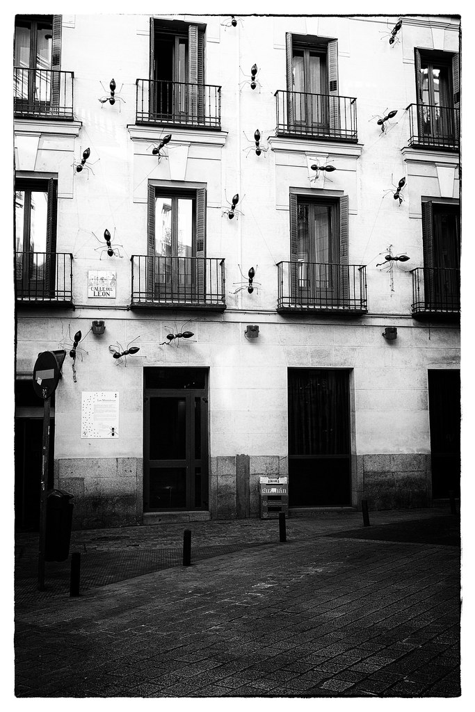 calle león yann le brun keris Flickr