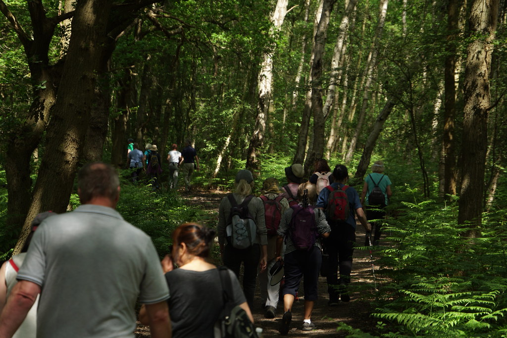 New Views Walks Longcross Estate and Chobham Common May 2023 Flickr