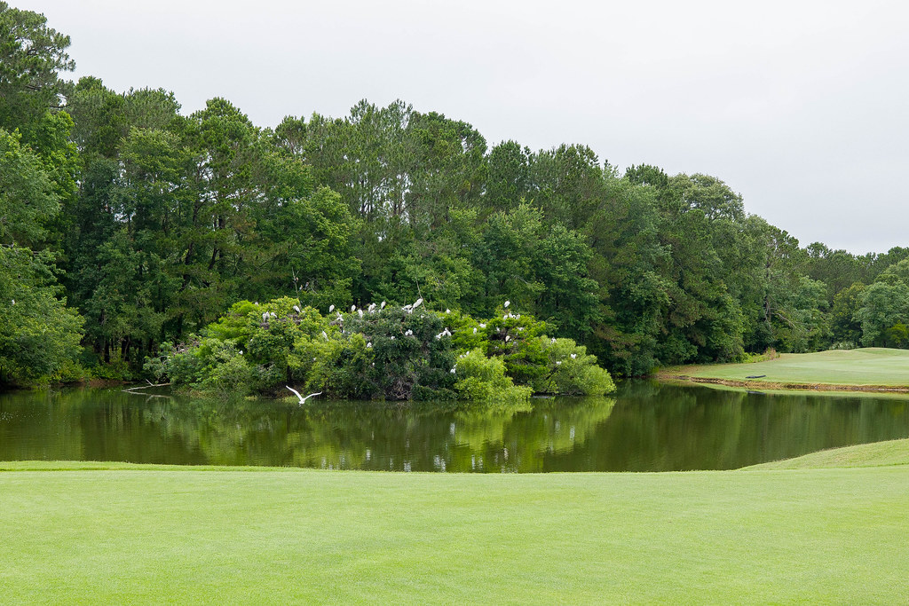 L1040636.jpg James Allison Flickr