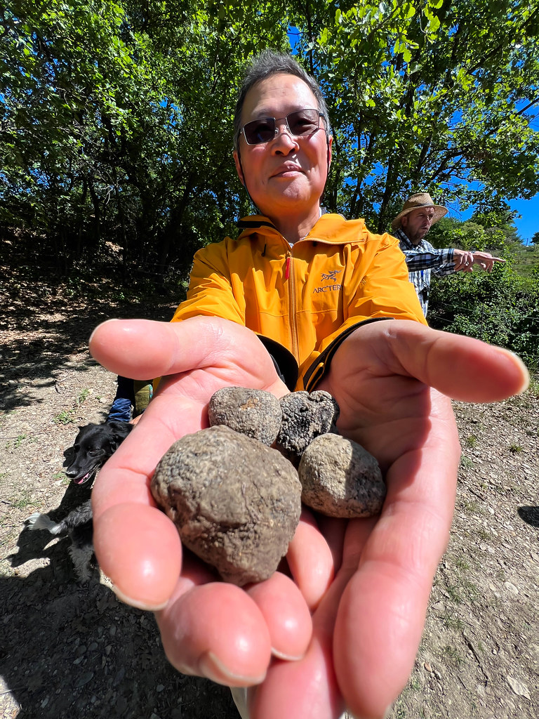Truffle Hunting at Gordes H. C. LEE Flickr